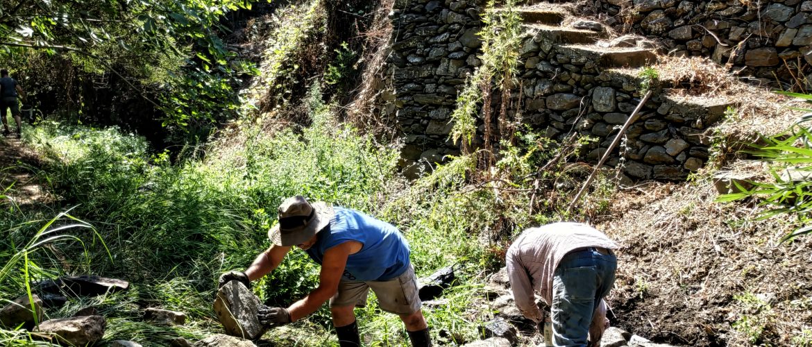 An Alliance for Sustainable Development is born - The Green Tank