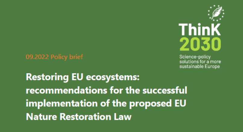 Ahead of the European institutions' negotiations on the proposed EU law on nature restoration, a policy paper by Think Sustainable Europe highlights the importance of adopting an ambitious and robust law and makes recommendations.