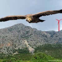 Landmark decision by RAAEY on Energy Communities