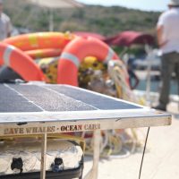 Το έργο SAvE Whales ολοκληρώνει με επιτυχία το 2ο έτος υλοποίησής του