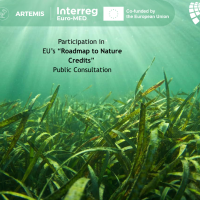 EU Nature Credits consultation: The Green Tank and ARTEMIS share expertise