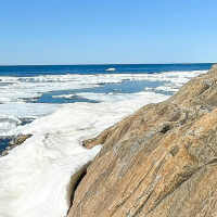 «Η περιβαλλοντική κρίση είναι ακόμα ανατρέψιμη, αν δράσουμε τώρα»: Συνέντευξη του Νίκου Μάντζαρη στο Fortune Greece