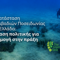 Νέες προτάσεις πολιτικής για την αποκατάσταση των λιβαδιών Ποσειδωνίας στην Ελλάδα και τη Μεσόγειο