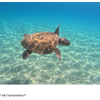 Η σιωπηλή μάχη για το πρόγραμμα LIFE της ΕΕ